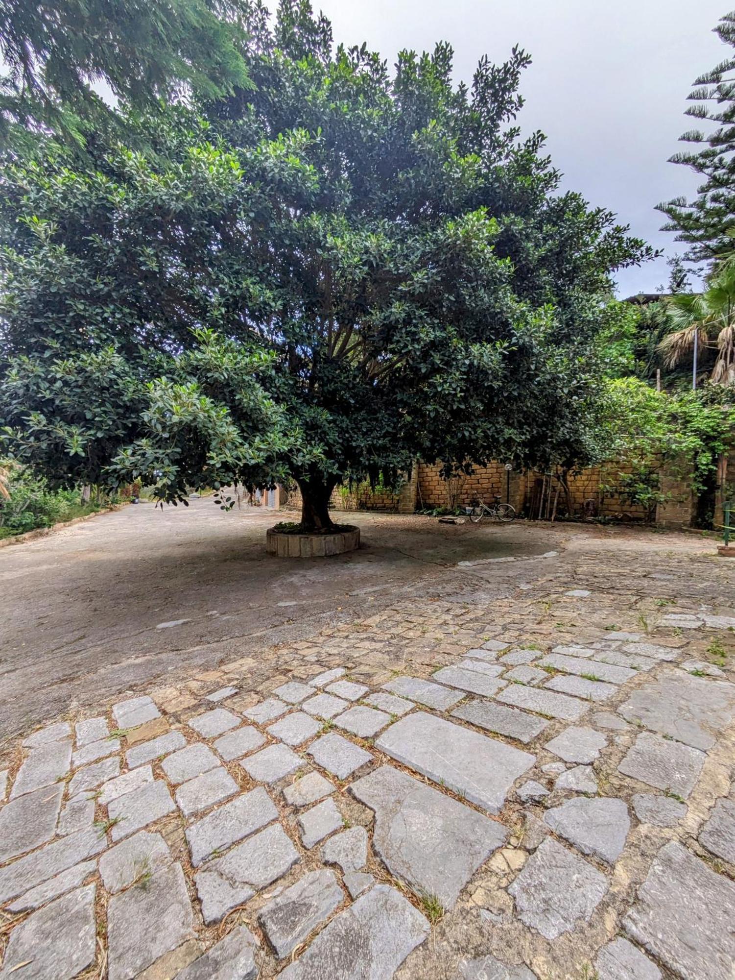 Terra Mia Lägenhet Cefalù Exteriör bild