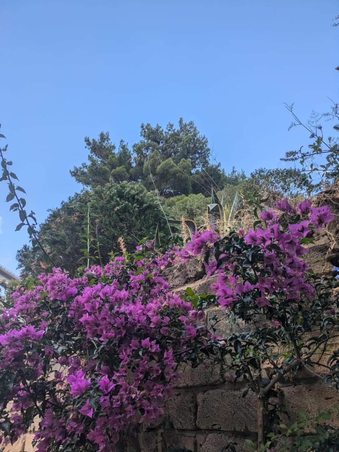 Terra Mia Lägenhet Cefalù Exteriör bild